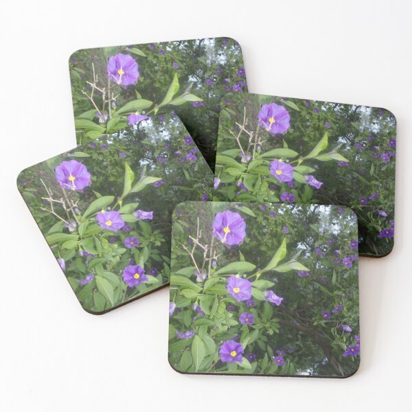Item preview, ECO PHOTOGRAPH DESIGN  designed and sold by Tobyhuckels1991.