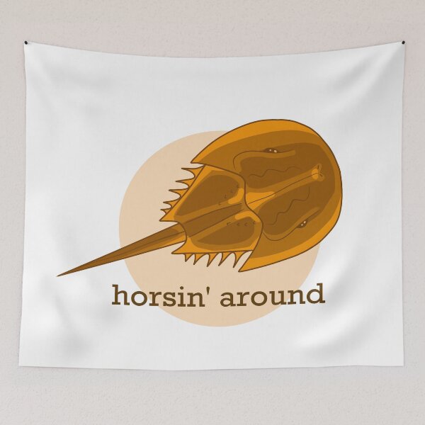 Item preview, Horsin' Around Horseshoe Crab designed and sold by Katieart26.