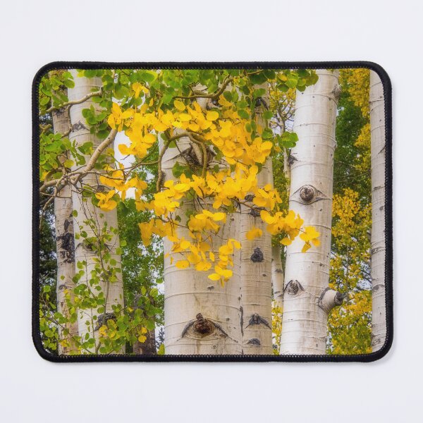 Item preview, Signs of Fall designed and sold by Alla Gill.