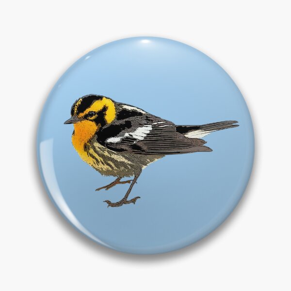 Item preview, Blackburnian Warbler Color Design  designed and sold by designsasstultd.