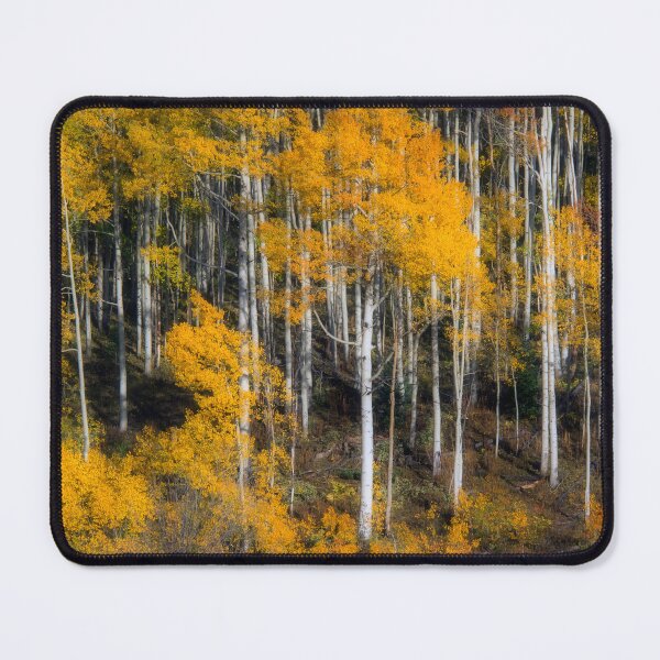 Item preview, Aspen Fall designed and sold by Alla Gill.