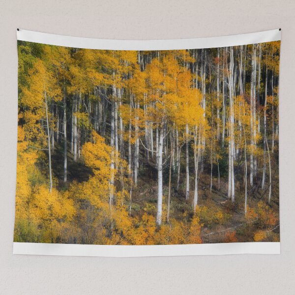 Item preview, Aspen Fall designed and sold by Alla Gill.
