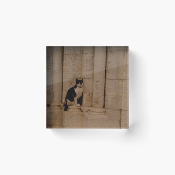 Item preview, The cat of Carmo Church in Lisbon, Portugal designed and sold by lumhoff22.