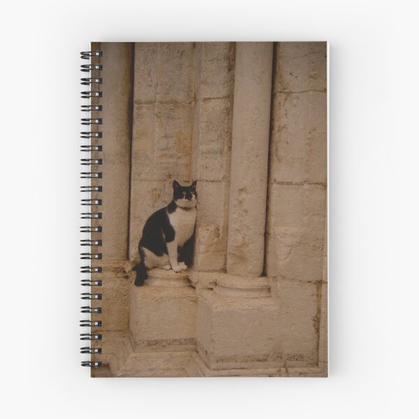 Item preview, The cat of Carmo Church in Lisbon, Portugal designed and sold by lumhoff22.