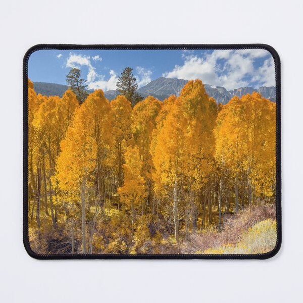Item preview, Autumnal Scene designed and sold by jvnimages.