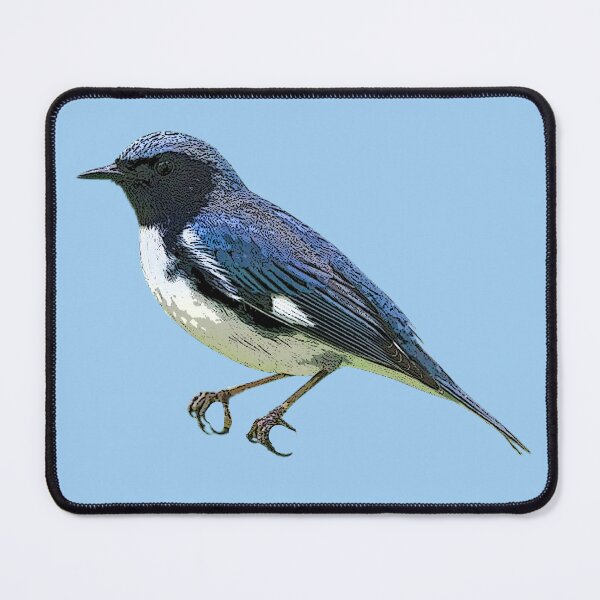 Item preview,  Black-throated Blue Warbler Color Design  designed and sold by designsasstultd.