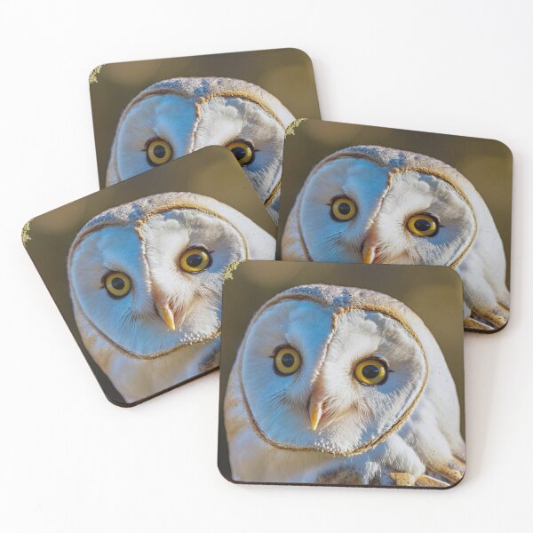 Item preview, The barn owl designed and sold by AGaymard.