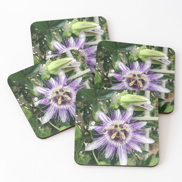Item preview, Single purple clematis photograph designed and sold by esvb.