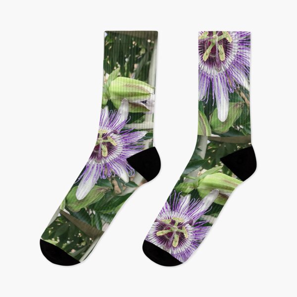 Item preview, Single purple clematis photograph designed and sold by esvb.