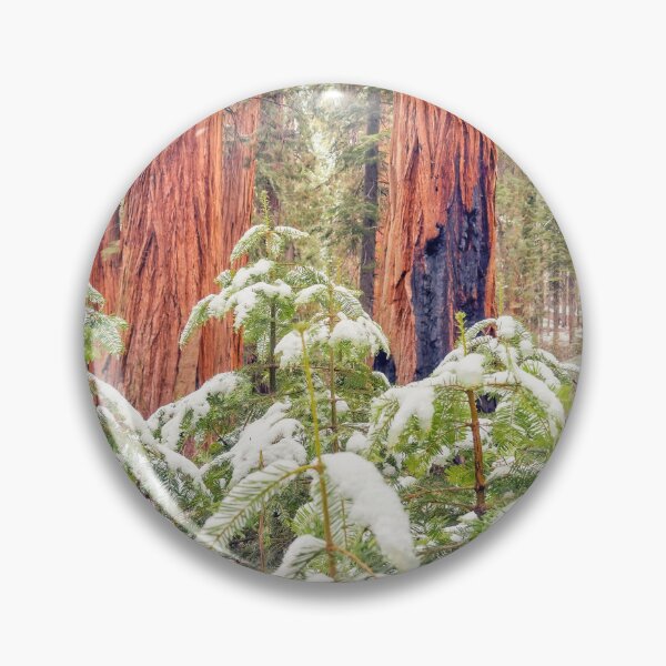 Item preview, Sequoia Forest designed and sold by jvnimages.