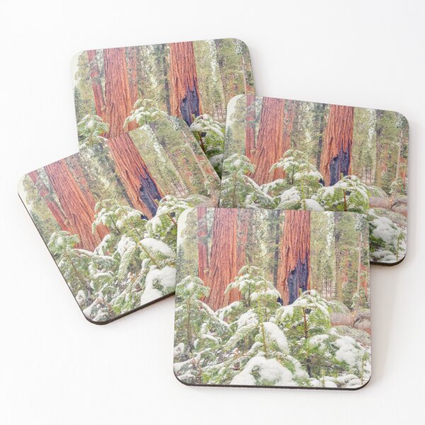 Item preview, Sequoia Forest designed and sold by jvnimages.