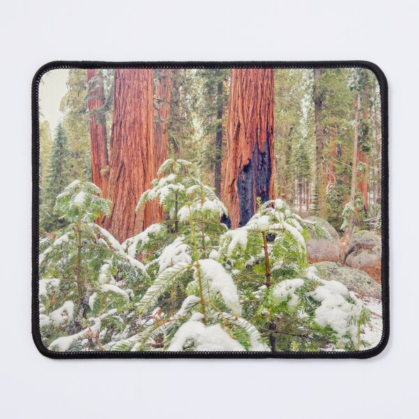 Item preview, Sequoia Forest designed and sold by jvnimages.