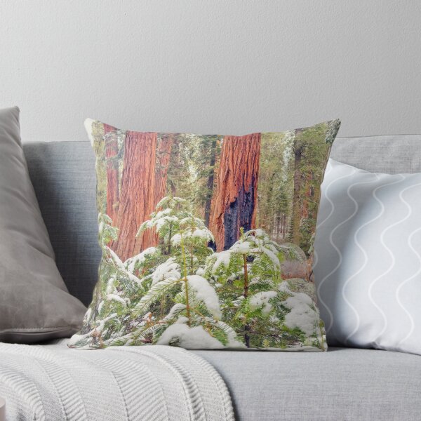 Item preview, Sequoia Forest designed and sold by jvnimages.