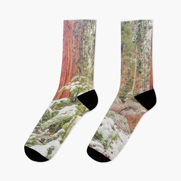 Item preview, Sequoia Forest designed and sold by jvnimages.