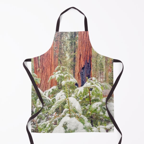 Item preview, Sequoia Forest designed and sold by jvnimages.