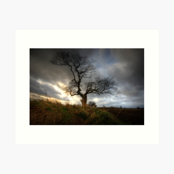 A tree Art Print