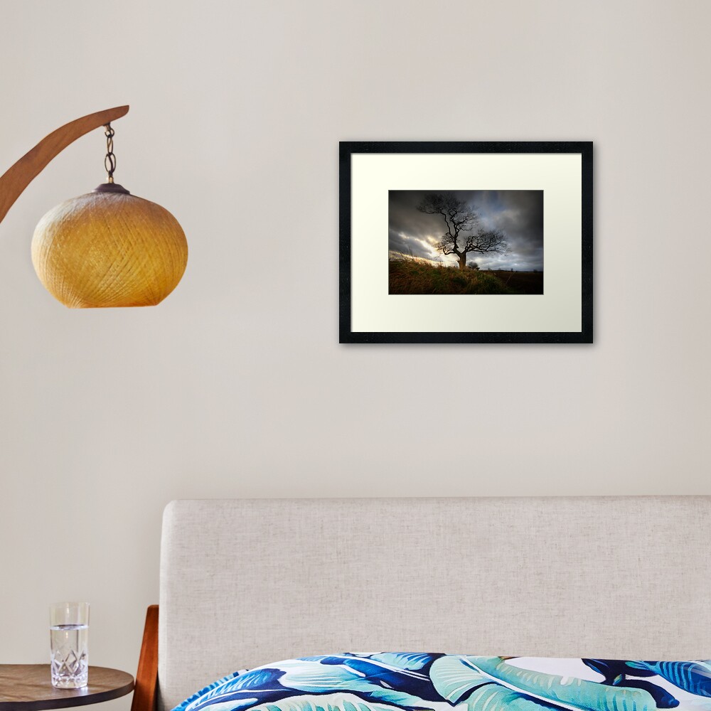 Item preview, Framed Art Print designed and sold by tontoshorse.