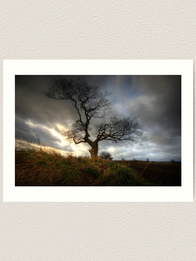Alternate view of A tree Art Print