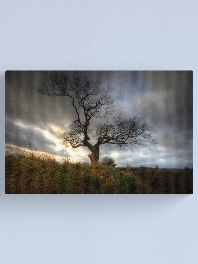 Alternate view of A tree Canvas Print