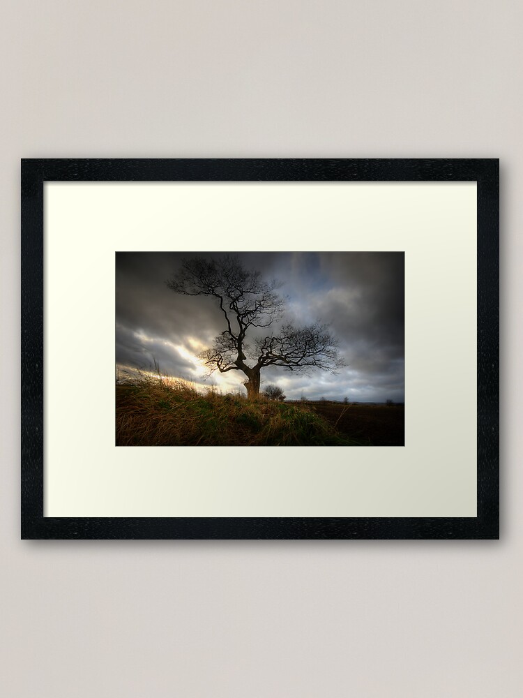 Alternate view of A tree Framed Art Print