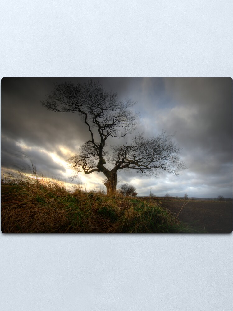 Alternate view of A tree Metal Print