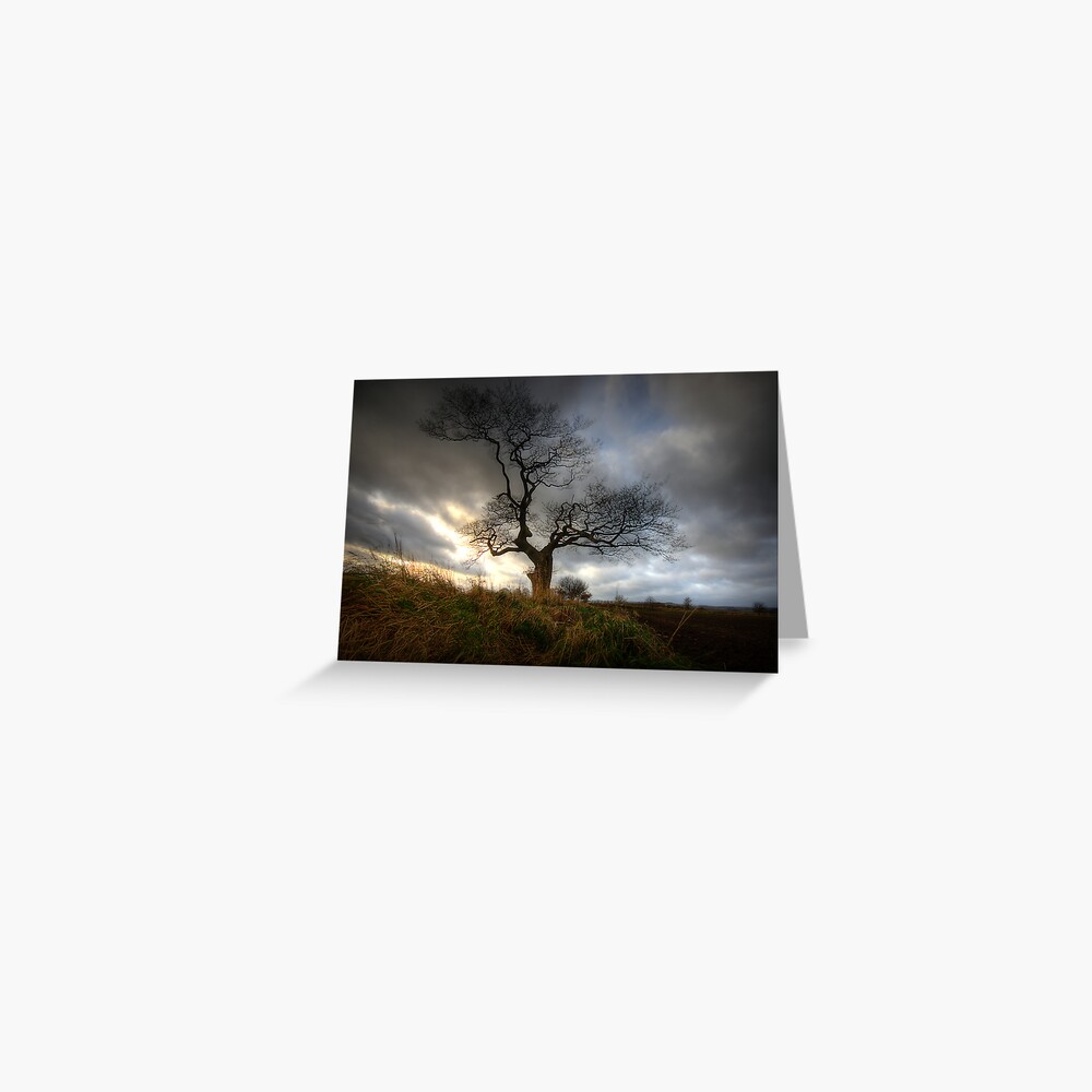 Item preview, Greeting Card designed and sold by tontoshorse.