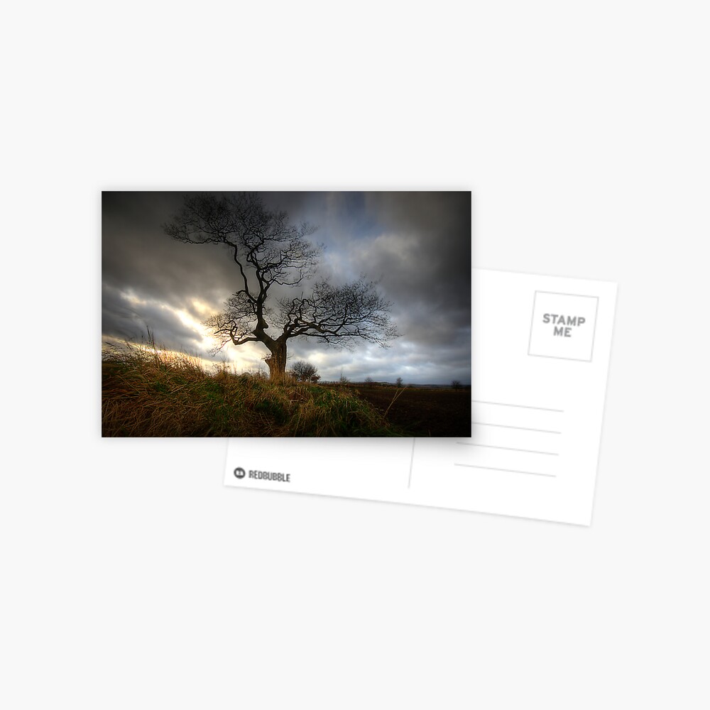 Item preview, Postcard designed and sold by tontoshorse.