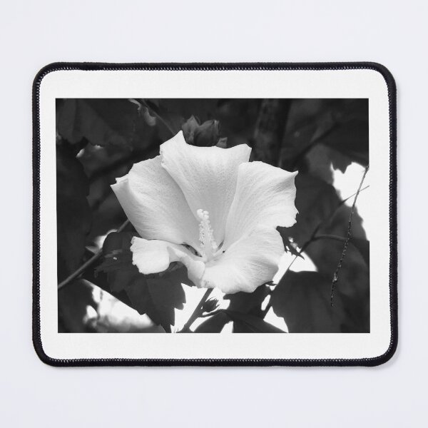 Item preview, White Hibiscus designed and sold by MZukoPhoto.