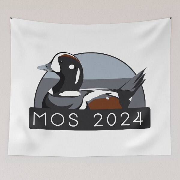 Item preview, Harlequin Duck- Maryland Ornithological Society Winning Pin Design 2024 designed and sold by LauraWolfArtist.