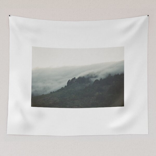 Item preview, A Cascade of Trees designed and sold by Schmitts35mmPic.