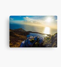 Quartz on the mountain Metal Print