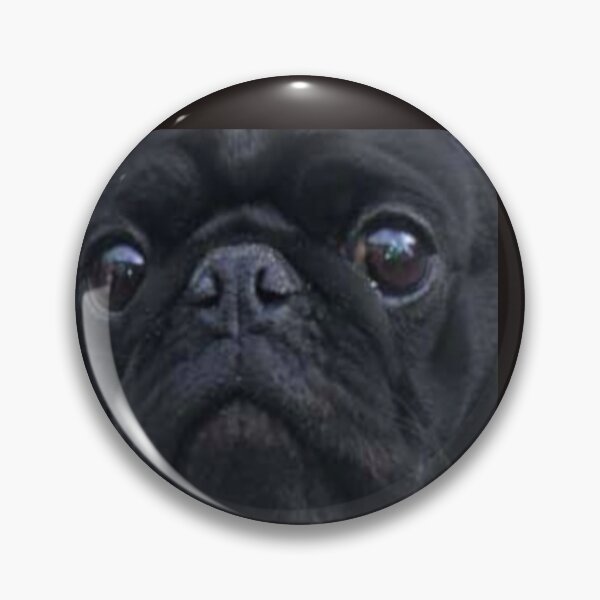 Item preview, Black Pug Dog Face designed and sold by ltldragn.
