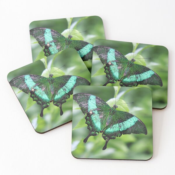 Item preview, Butterfly designed and sold by DiegoBenKar.