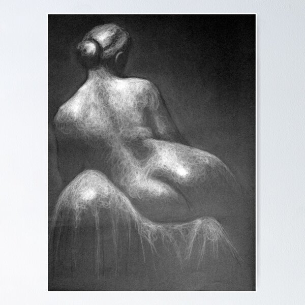 Female Back drawing by Adelaide Artist Avril Thomas Poster