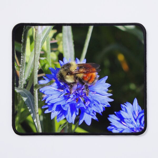 Item preview, Colorful Bumble Bee designed and sold by Paul Morse.