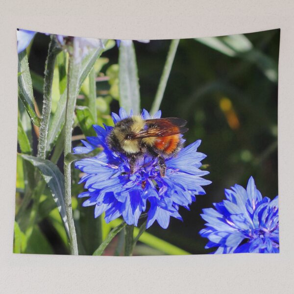 Item preview, Colorful Bumble Bee designed and sold by Paul Morse.