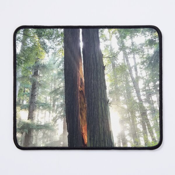 Item preview, Twin Redwoods with light from within designed and sold by Johnmichaelart.