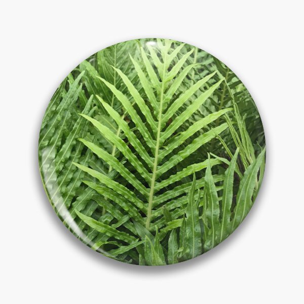 Item preview, Silver Lady Fern designed and sold by NDMD.