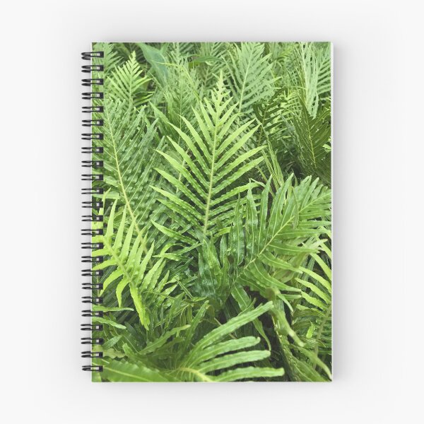 Item preview, Silver Lady Fern designed and sold by NDMD.