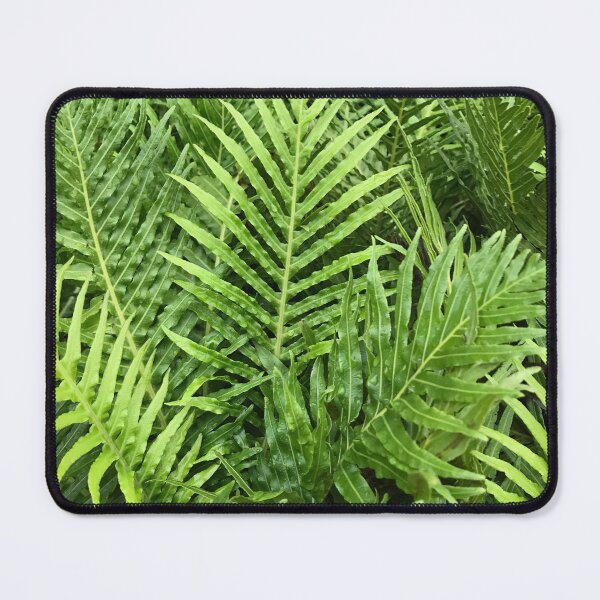 Item preview, Silver Lady Fern designed and sold by NDMD.