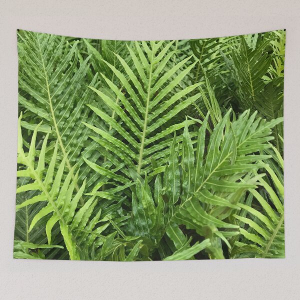 Item preview, Silver Lady Fern designed and sold by NDMD.