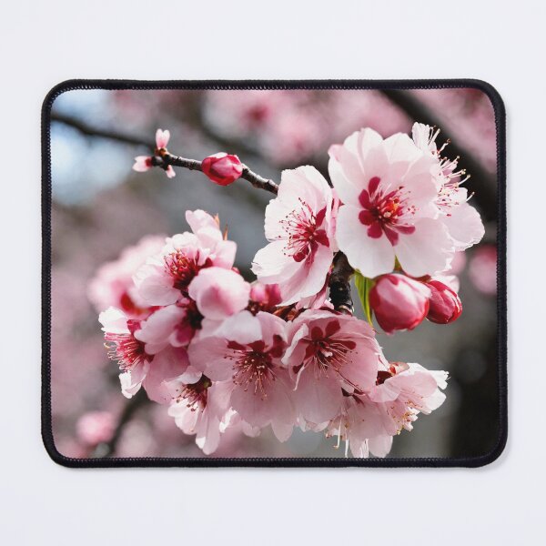 Item preview, sakura, blooming, spring, flowers designed and sold by DonnaBlankaArt.