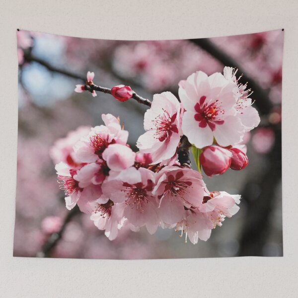 Item preview, sakura, blooming, spring, flowers designed and sold by DonnaBlankaArt.