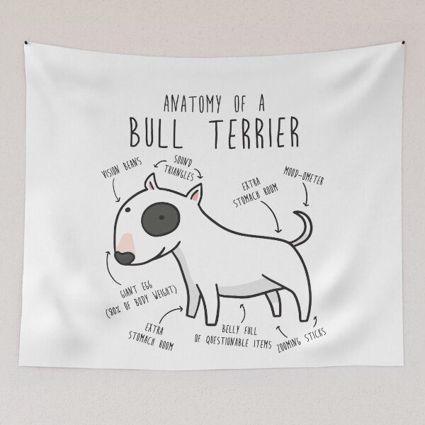 Item preview, Bull Terrier Dog Anatomy designed and sold by Clara Hollins.