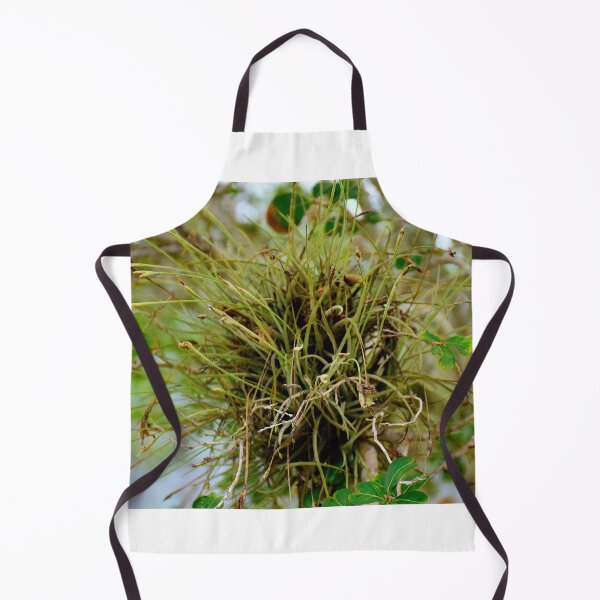 Item preview, Air Plant epiphyte designed and sold by MercerImages.