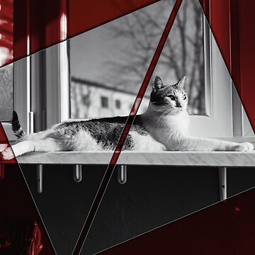 Artwork thumbnail, Cat Digital Art by sabiland