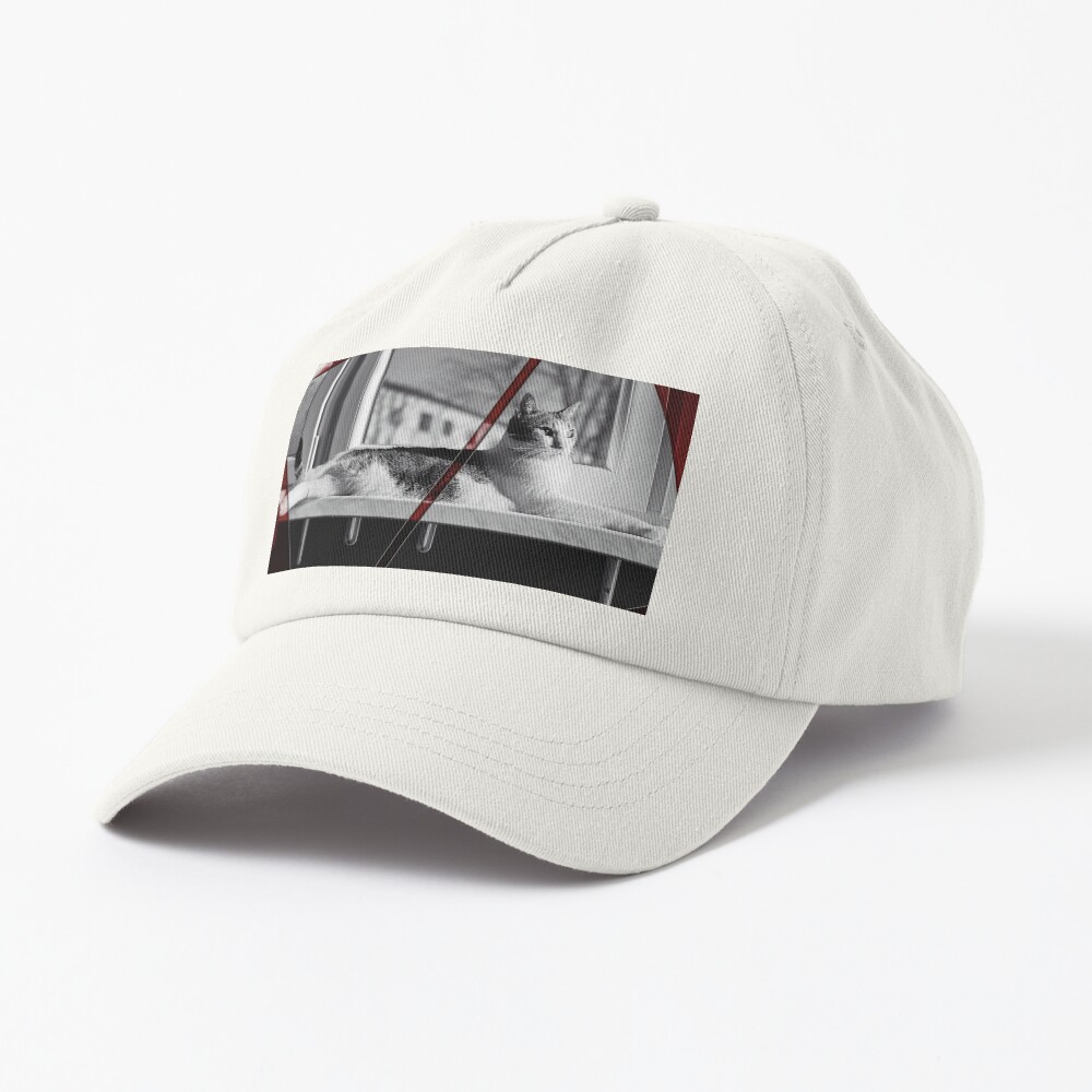 Item preview, Dad Hat designed and sold by sabiland.