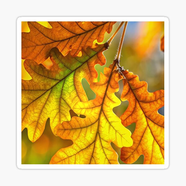 Item preview, Oak Leaves  designed and sold by ArDi9168.