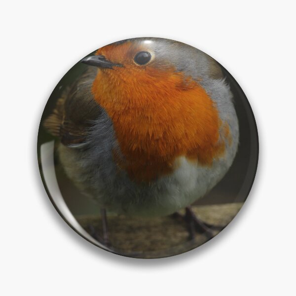 Item preview, European Robin on Gate Vertical designed and sold by eddiebarronshop.