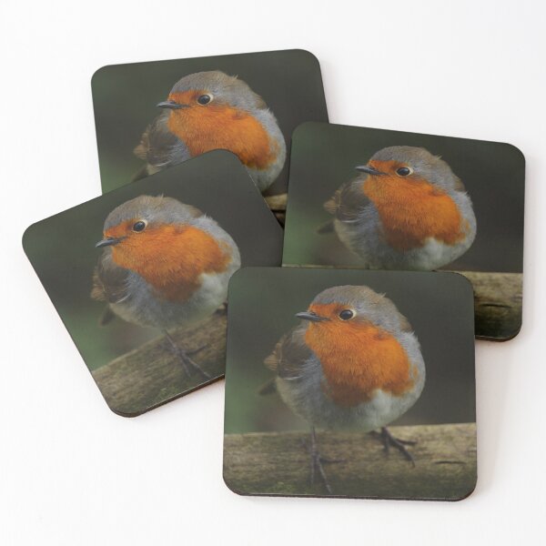 Item preview, European Robin on Gate Vertical designed and sold by eddiebarronshop.